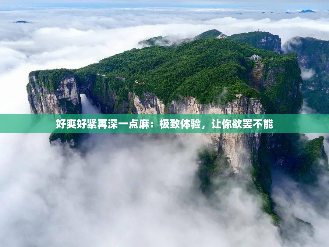 好爽好紧再深一点麻：极致体验，让你欲罢不能