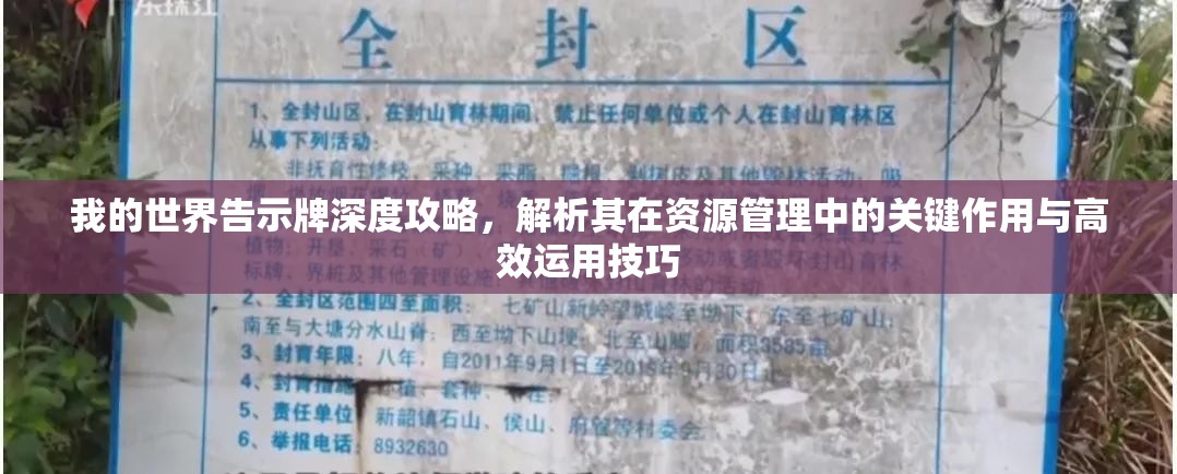 我的世界告示牌深度攻略，解析其在资源管理中的关键作用与高效运用技巧