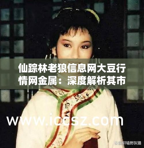 仙踪林老狼信息网大豆行情网金属：深度解析其市场动态与未来走向