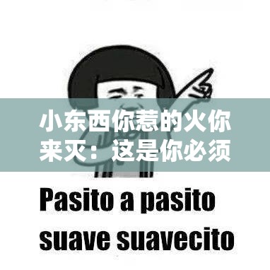 小东西你惹的火你来灭：这是你必须承担的责任