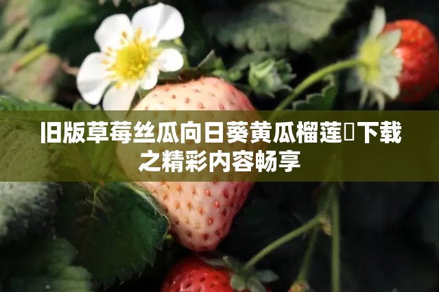 旧版草莓丝瓜向日葵黄瓜榴莲汅下载之精彩内容畅享
