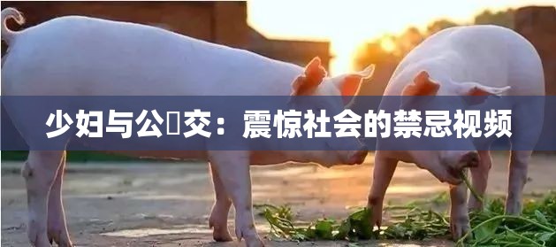 少妇与公豬交：震惊社会的禁忌视频