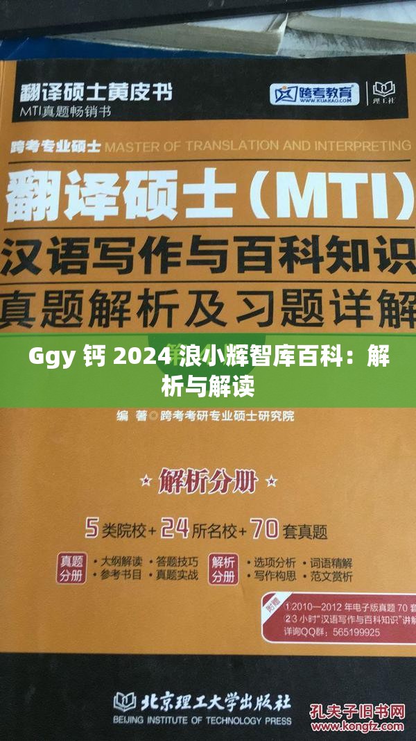 Ggy 钙 2024 浪小辉智库百科：解析与解读