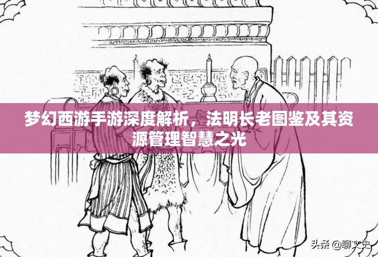 梦幻西游手游深度解析，法明长老图鉴及其资源管理智慧之光