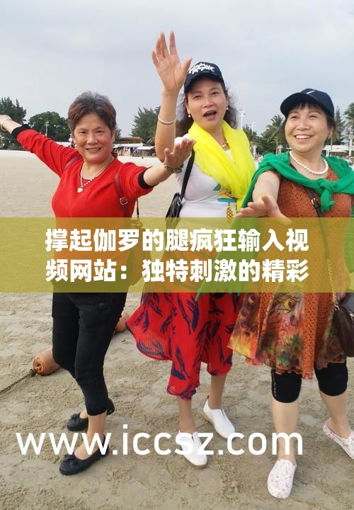撑起伽罗的腿疯狂输入视频网站：独特刺激的精彩演绎