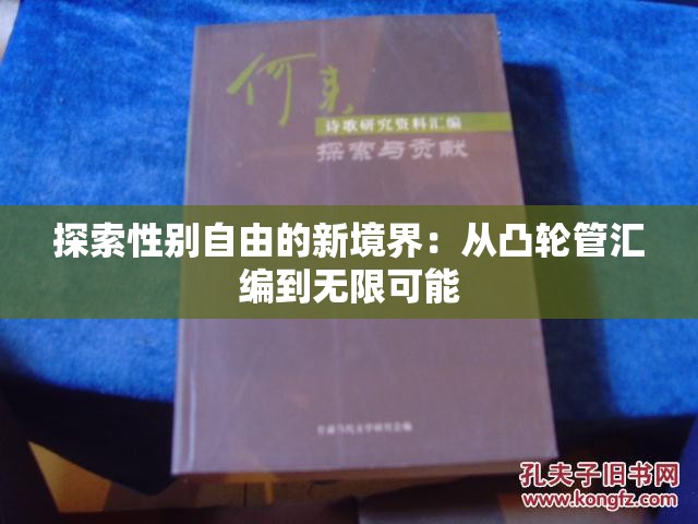 探索性别自由的新境界：从凸轮管汇编到无限可能