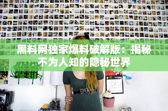 黑料网独家爆料破解版：揭秘不为人知的隐秘世界