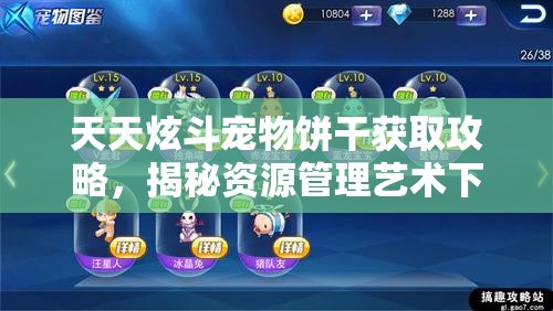 天天炫斗宠物饼干获取攻略，揭秘资源管理艺术下的饼干收集方法