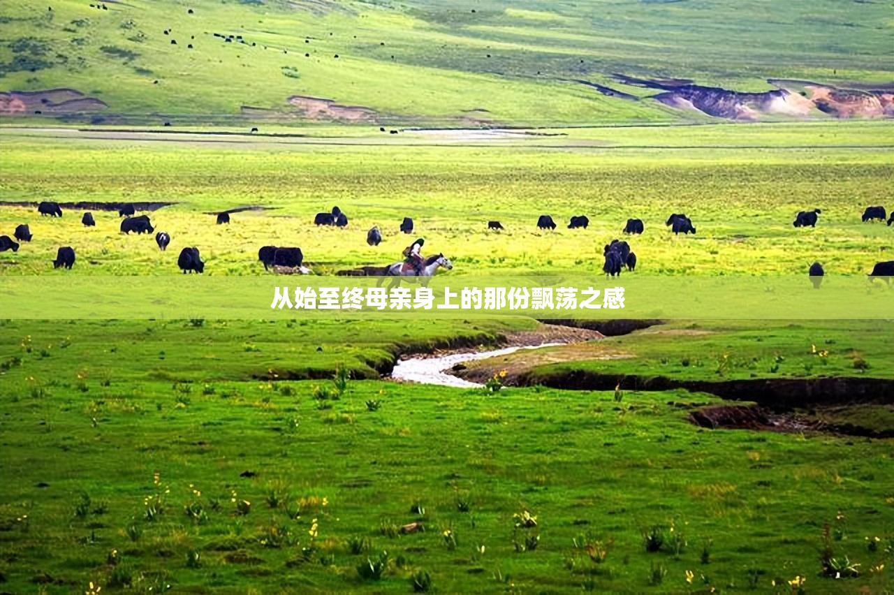 从始至终母亲身上的那份飘荡之感