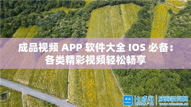 成品视频 APP 软件大全 IOS 必备：各类精彩视频轻松畅享