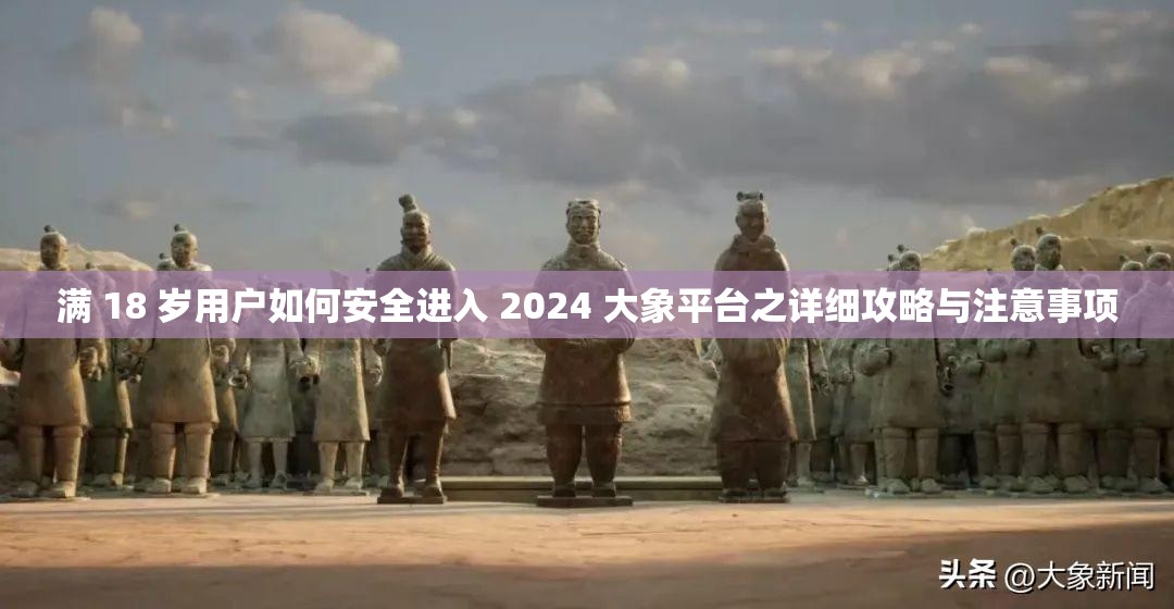 满 18 岁用户如何安全进入 2024 大象平台之详细攻略与注意事项