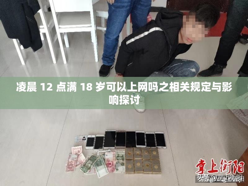 凌晨 12 点满 18 岁可以上网吗之相关规定与影响探讨