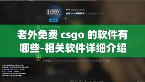 老外免费 csgo 的软件有哪些-相关软件详细介绍及使用攻略