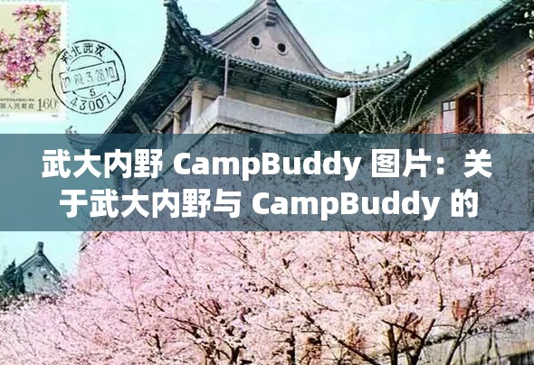 武大内野 CampBuddy 图片：关于武大内野与 CampBuddy 的精彩呈现