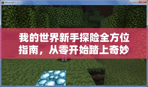 我的世界新手探险全方位指南，从零开始踏上奇妙冒险旅程