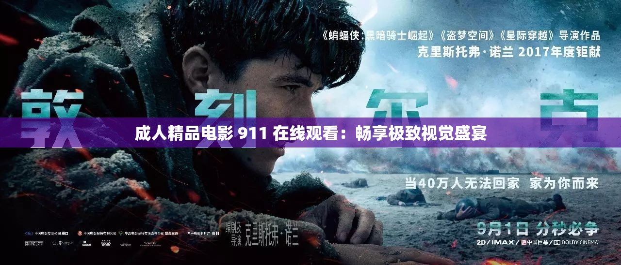成人精品电影 911 在线观看：畅享极致视觉盛宴