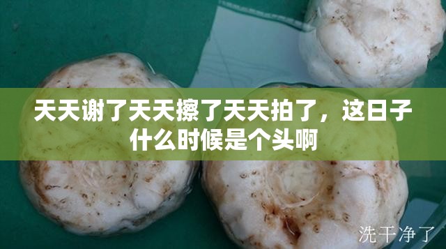 天天谢了天天擦了天天拍了，这日子什么时候是个头啊