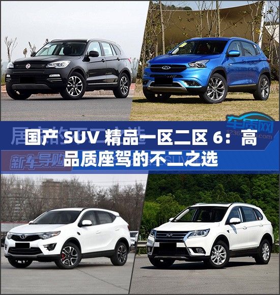 国产 SUV 精品一区二区 6：高品质座驾的不二之选