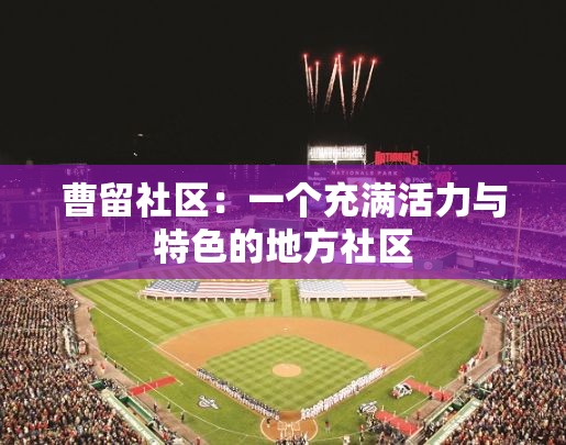 曹留社区：一个充满活力与特色的地方社区