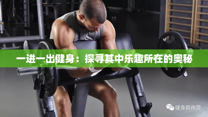 一进一出健身：探寻其中乐趣所在的奥秘