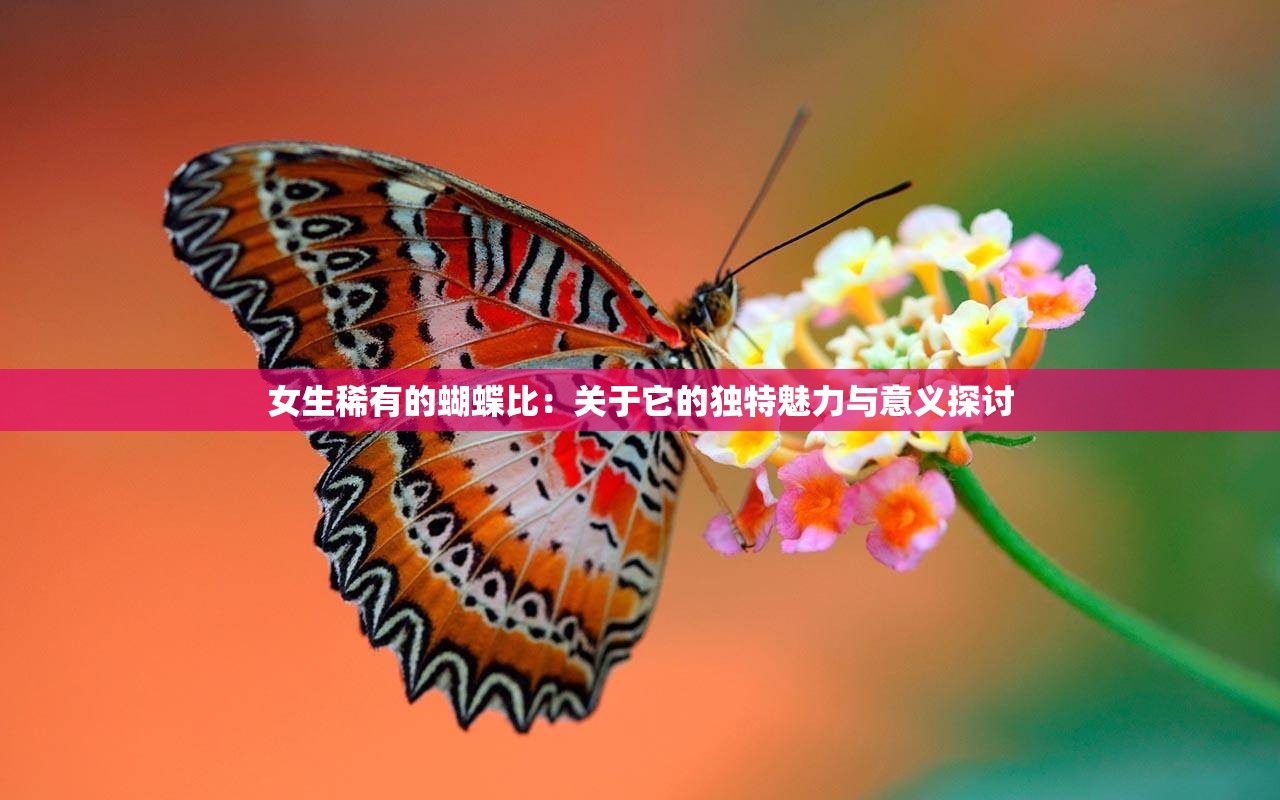 女生稀有的蝴蝶比：关于它的独特魅力与意义探讨