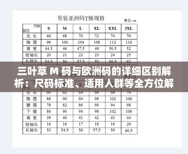 三叶草 M 码与欧洲码的详细区别解析：尺码标准、适用人群等全方位解读