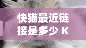 快猫最近链接是多少 KM8KW 相关内容介绍
