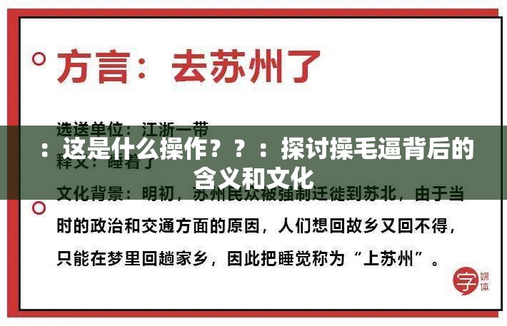 ：这是什么操作？？：探讨操毛逼背后的含义和文化