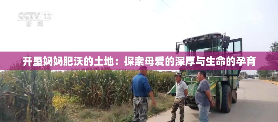 开垦妈妈肥沃的土地：探索母爱的深厚与生命的孕育
