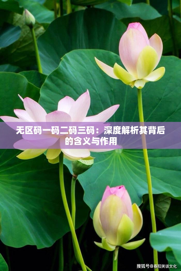 无区码一码二码三码：深度解析其背后的含义与作用