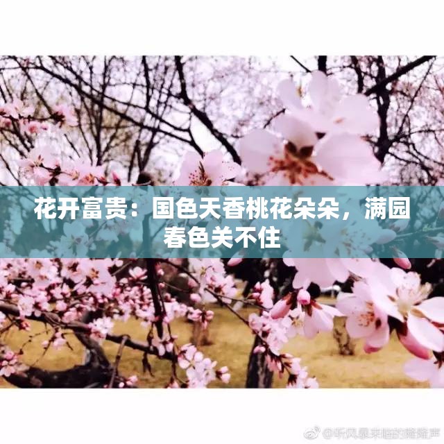 花开富贵：国色天香桃花朵朵，满园春色关不住
