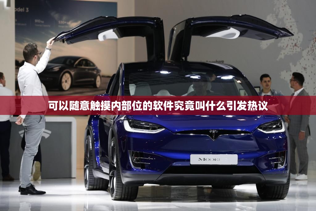 可以随意触摸内部位的软件究竟叫什么引发热议