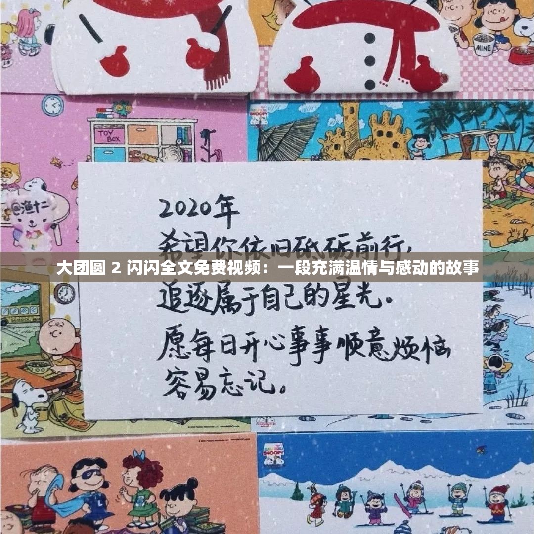 大团圆 2 闪闪全文免费视频：一段充满温情与感动的故事