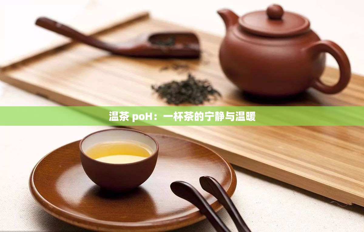温茶 poH：一杯茶的宁静与温暖