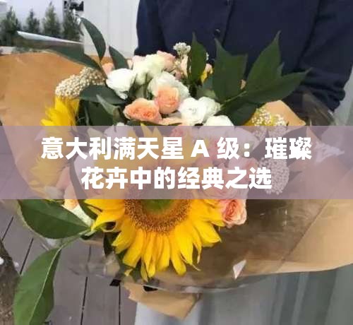 意大利满天星 A 级：璀璨花卉中的经典之选