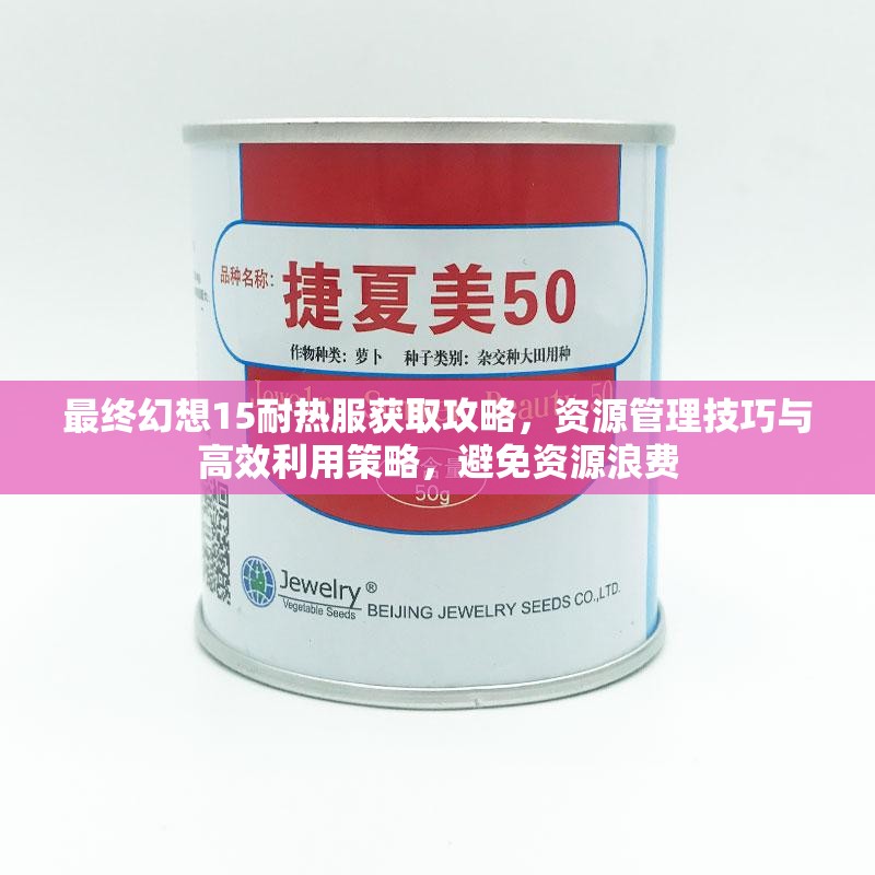 最终幻想15耐热服获取攻略，资源管理技巧与高效利用策略，避免资源浪费
