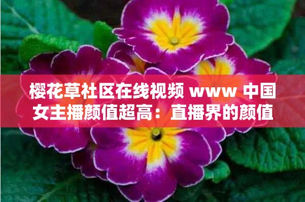 樱花草社区在线视频 www 中国女主播颜值超高：直播界的颜值担当