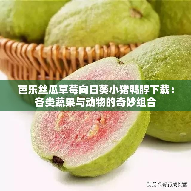 芭乐丝瓜草莓向日葵小猪鸭脖下载：各类蔬果与动物的奇妙组合