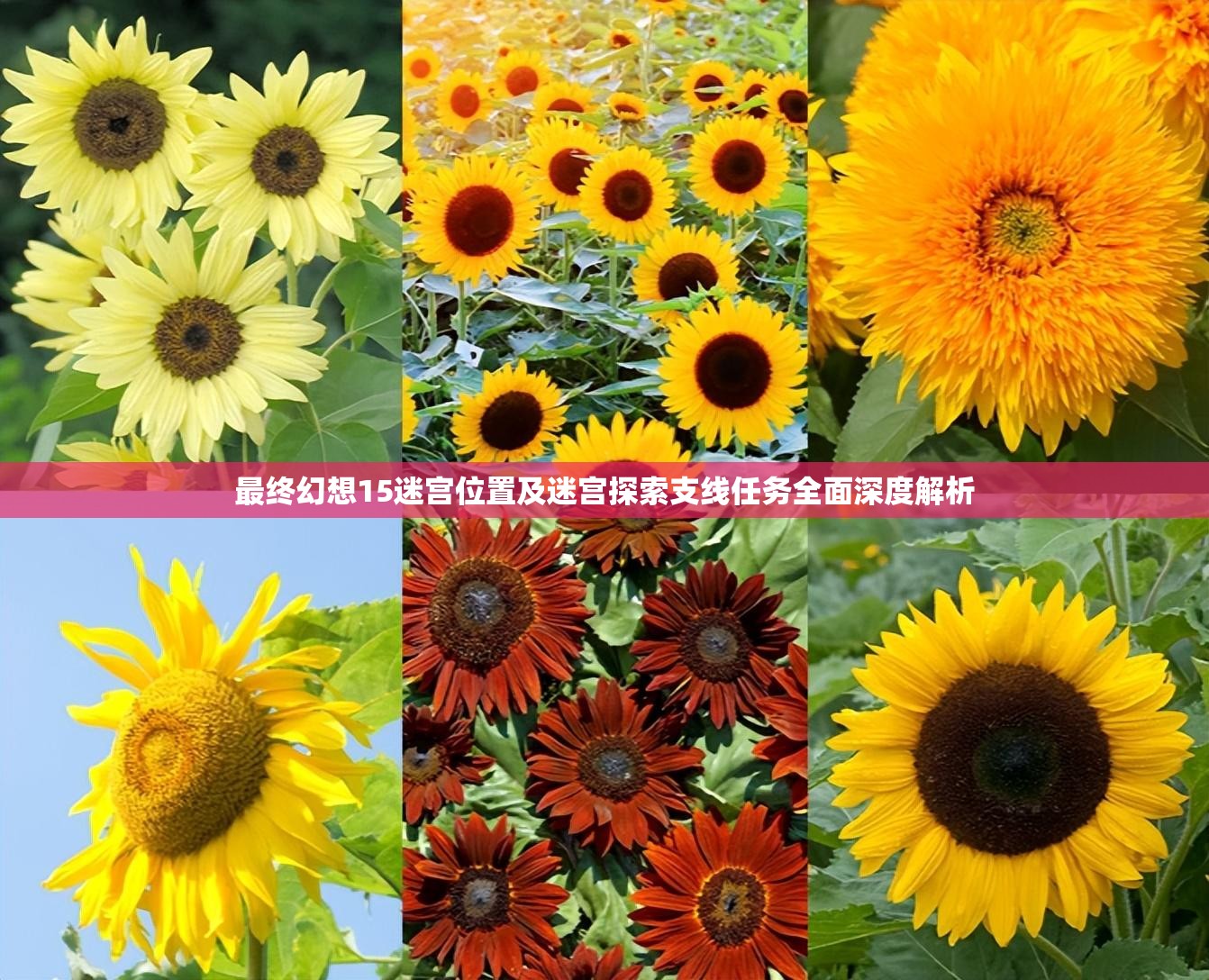 最终幻想15迷宫位置及迷宫探索支线任务全面深度解析
