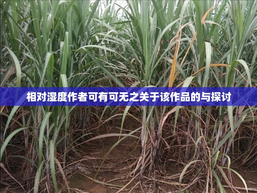 相对湿度作者可有可无之关于该作品的与探讨