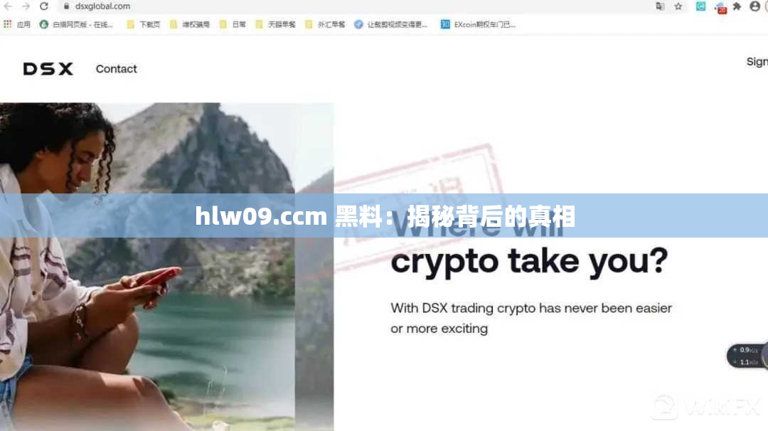 hlw09.ccm 黑料：揭秘背后的真相