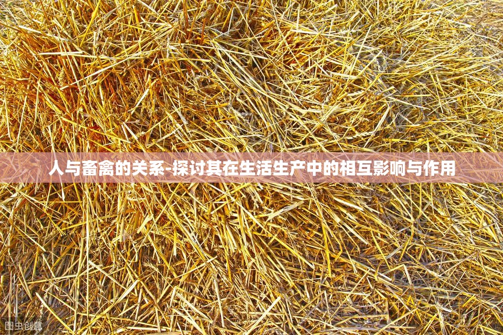人与畜禽的关系-探讨其在生活生产中的相互影响与作用