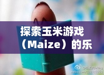 探索玉米游戏（Maize）的乐趣，分享游戏体验心得及资源管理在游戏中的重要性