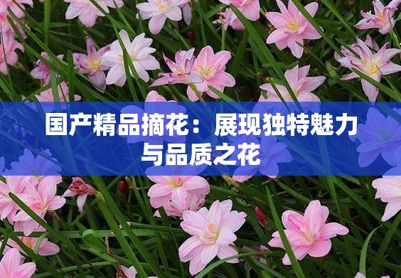 国产精品摘花：展现独特魅力与品质之花