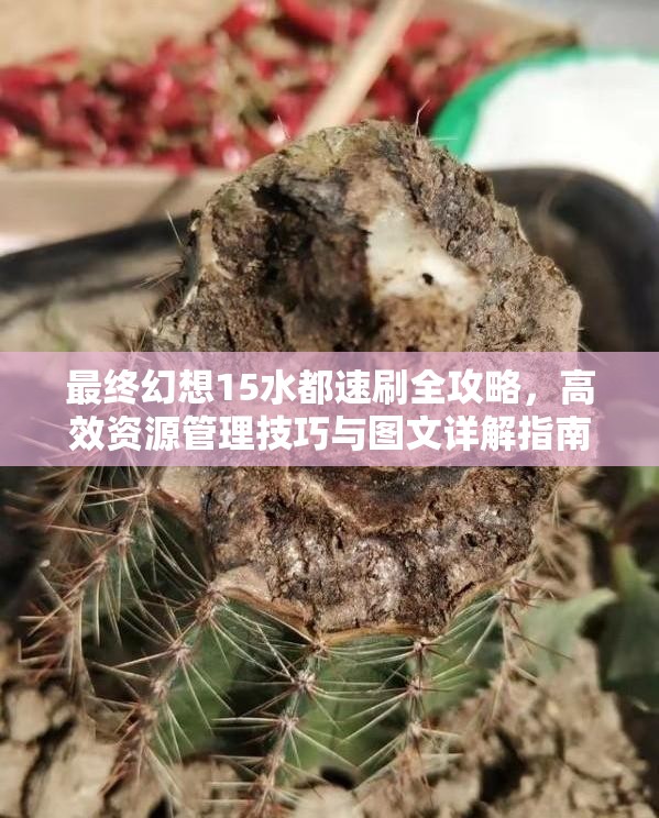 最终幻想15水都速刷全攻略，高效资源管理技巧与图文详解指南