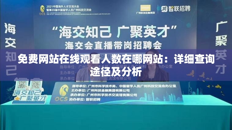 免费网站在线观看人数在哪网站：详细查询途径及分析