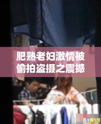 肥熟老妇激情被偷拍盗摄之震撼画面
