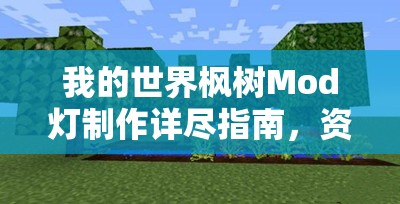 我的世界枫树Mod灯制作详尽指南，资源管理技巧、高效利用策略及避免材料浪费方法