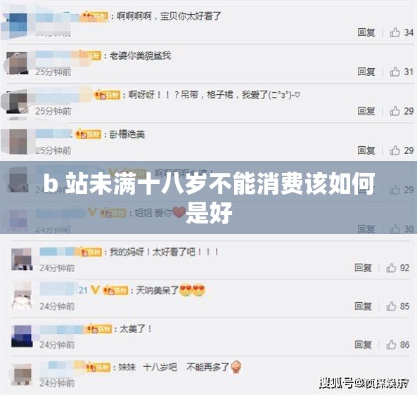 b 站未满十八岁不能消费该如何是好