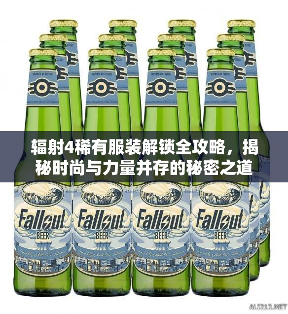 辐射4稀有服装解锁全攻略，揭秘时尚与力量并存的秘密之道